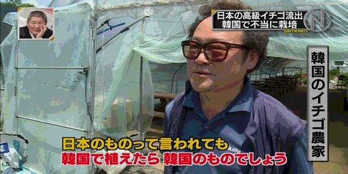 そりゃ嫌われるっしょ 