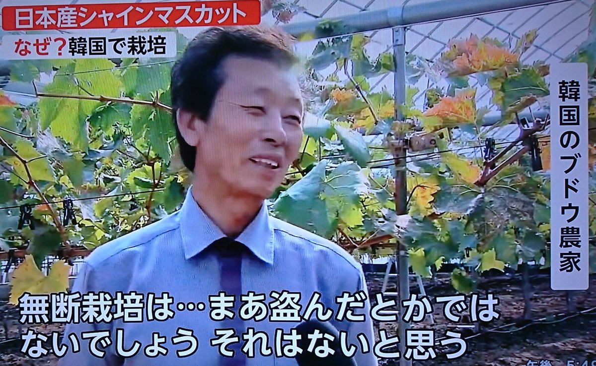 そりゃ嫌われるっしょ