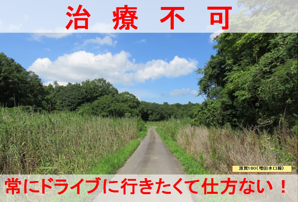 『ドライブ依存症』 あなたはドライブ依存症を知っていますか