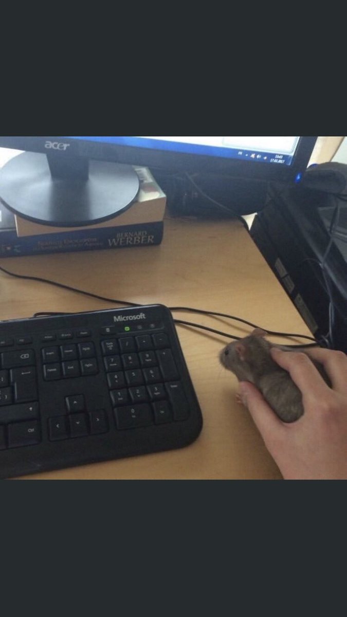 地震でマウスどっかいったと思ったら上から降って来た 