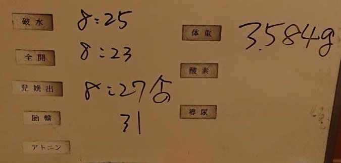 私の出産RTA見てください 