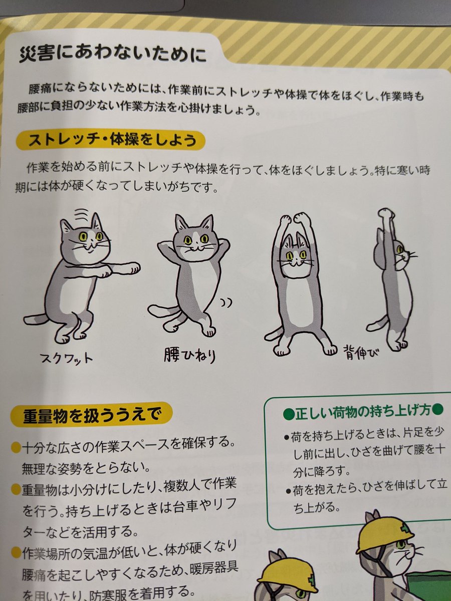 ストレッチする猫可愛すぎるな 