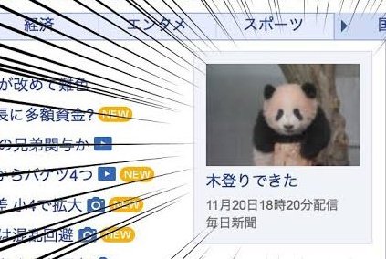 こういうニュースだけ流して欲しい 