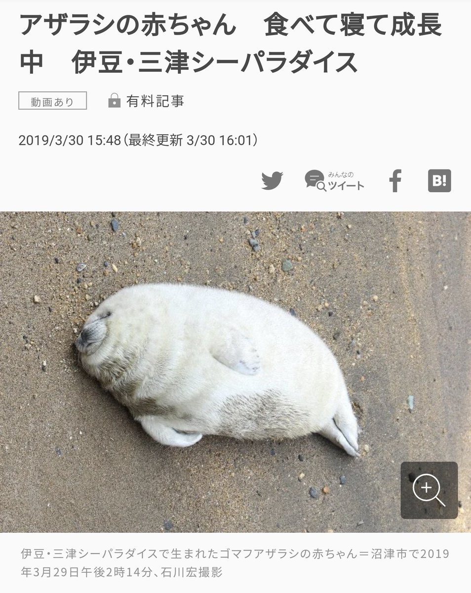 こういうニュースだけ流して欲しい 