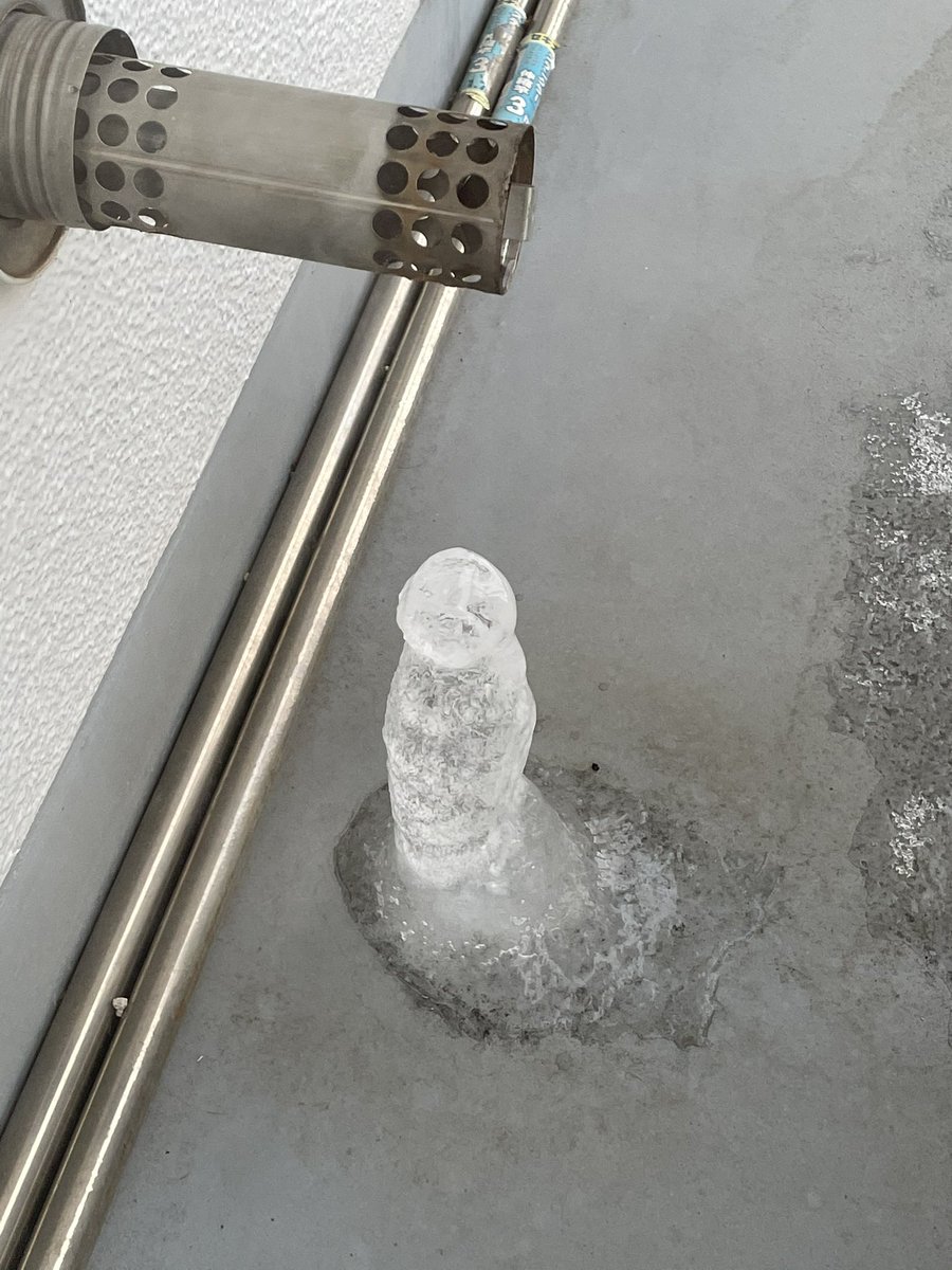 なんか、うちのベランダにはえてた 