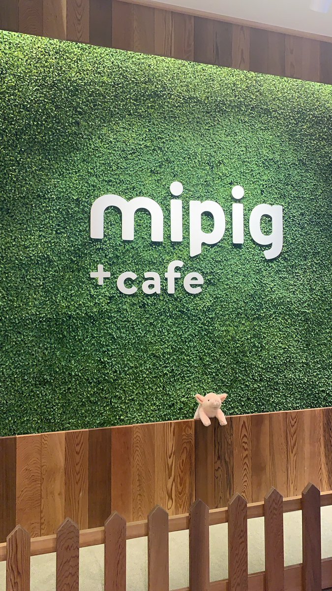 念願のブタカフェに行ってきたよ〜🐖 子豚さんかわいい😍 