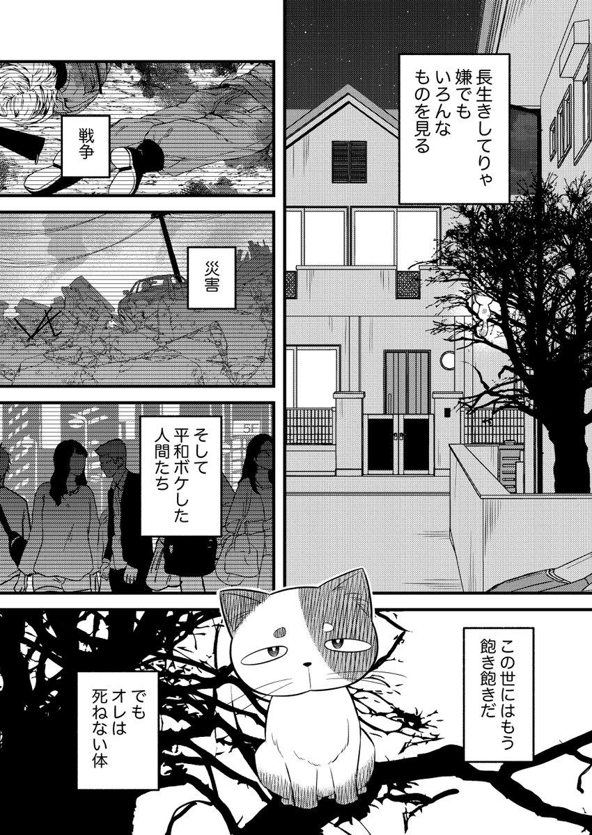 【創作漫画】100年生きた猫のはなし(1/5)