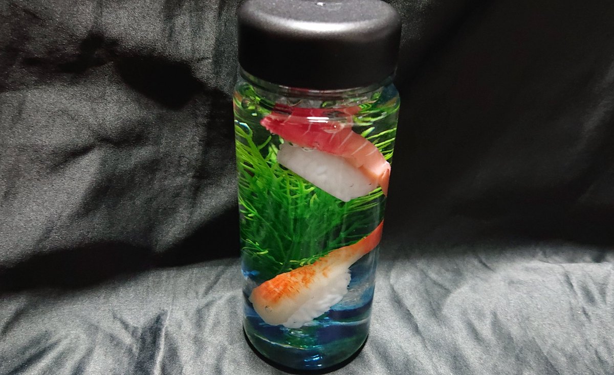 元気に泳ぐ海の生物のアクアリウム作ってみた 