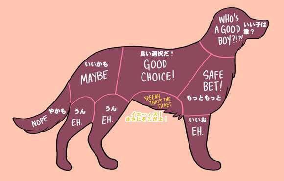 動物の撫でると喜ぶ各部位 