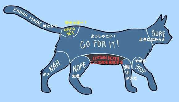 動物の撫でると喜ぶ各部位 