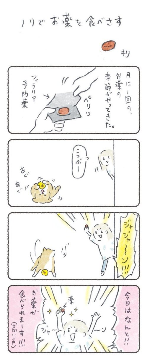 ハイテンションになってなんやかんやでお薬食べてもらう話(1/2) 