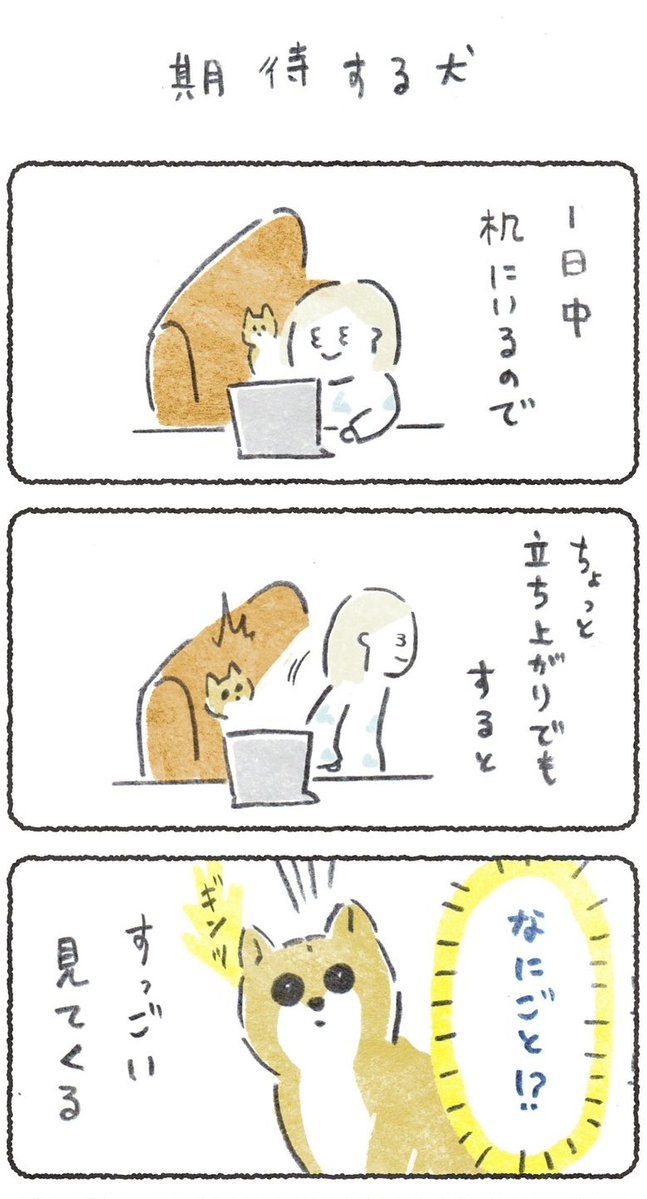 在宅ワークの飼い主が立ち上がるだけで なにかを期待してしまう犬　(1/2) 