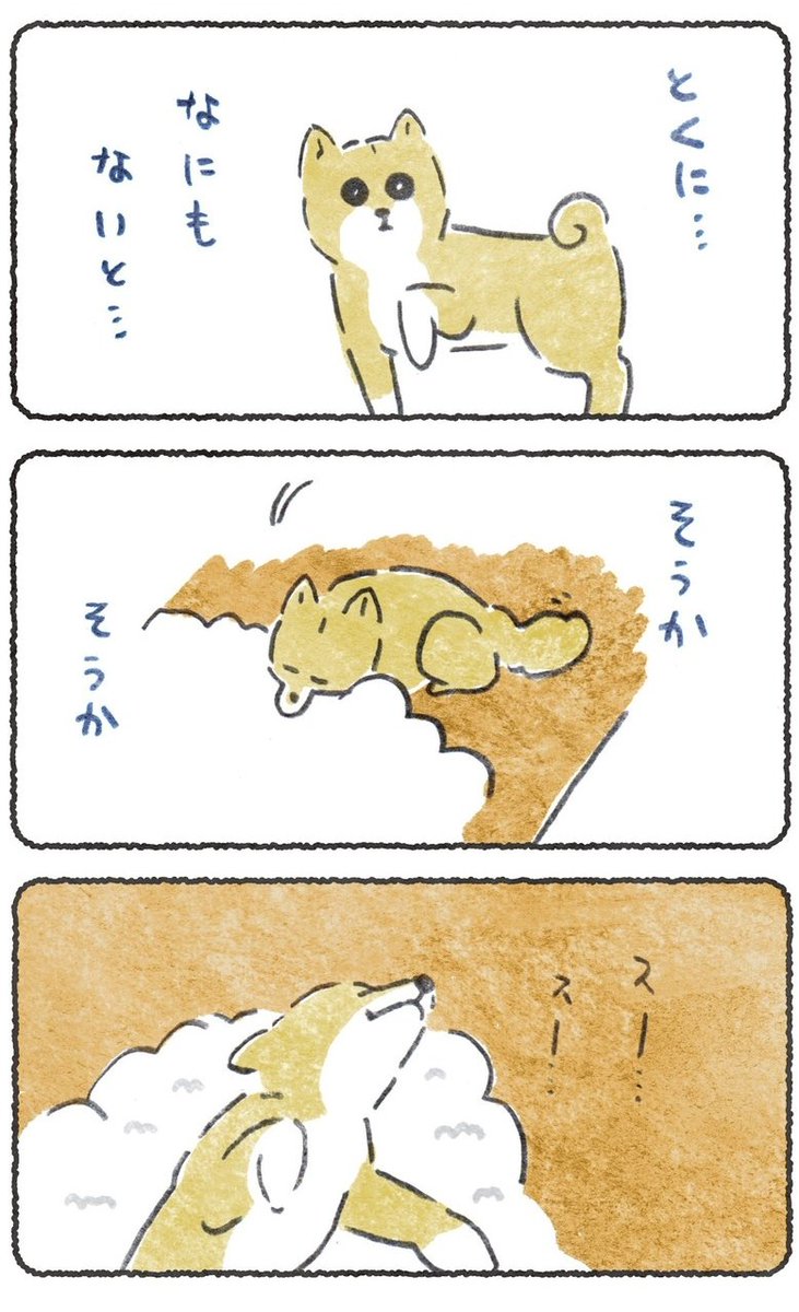 在宅ワークの飼い主が立ち上がるだけで なにかを期待してしまう犬　(1/2) 