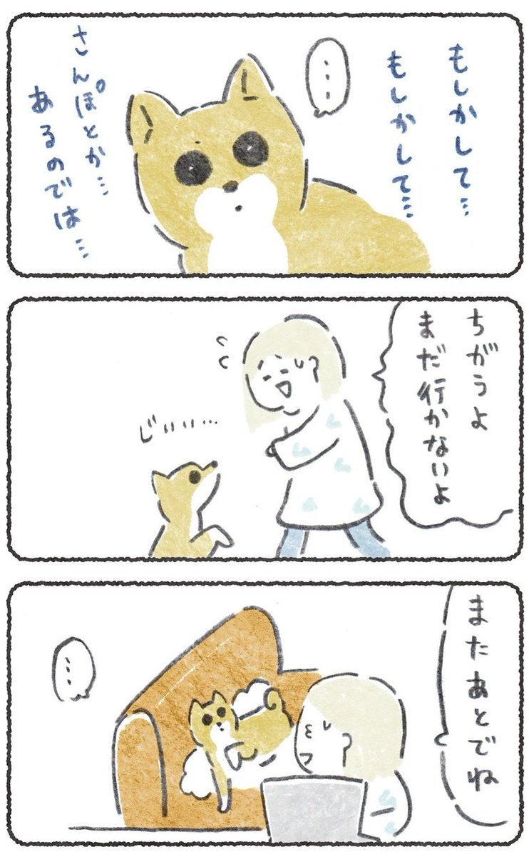 在宅ワークの飼い主が立ち上がるだけで なにかを期待してしまう犬　(1/2) 