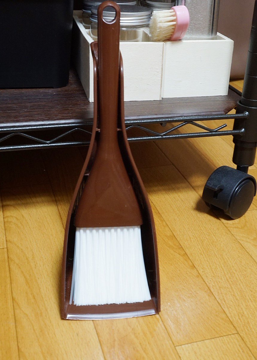 散歩中に突然みるくが行方不明になり、どれほど探しても見つからず、運動オンチなのにまさかと思いながらカーテンを全部はずしてレールを確認してもおらず、泣きそうになりながら床掃除しようとしたら 快適な個室だったらしく出てきません