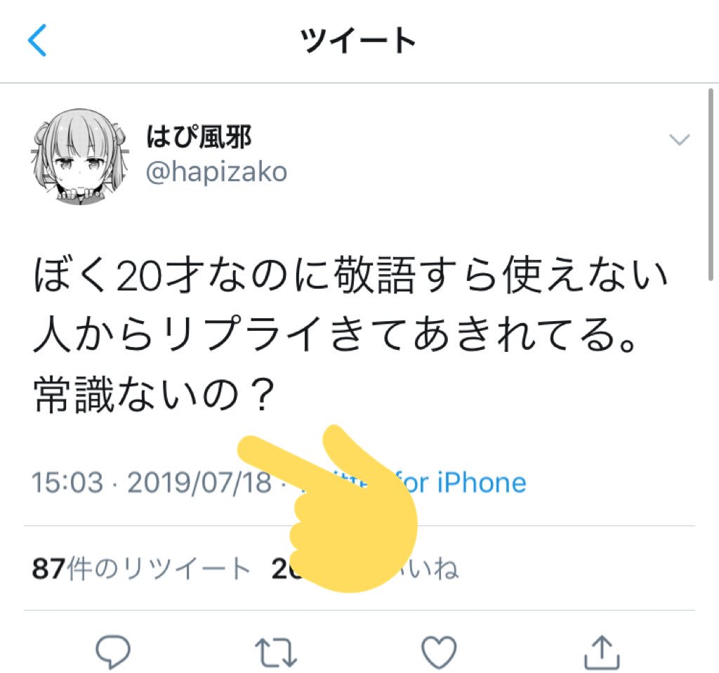 とんでもない特大ブーメランを投げてイキリまくってる20歳がいたんだが😅 