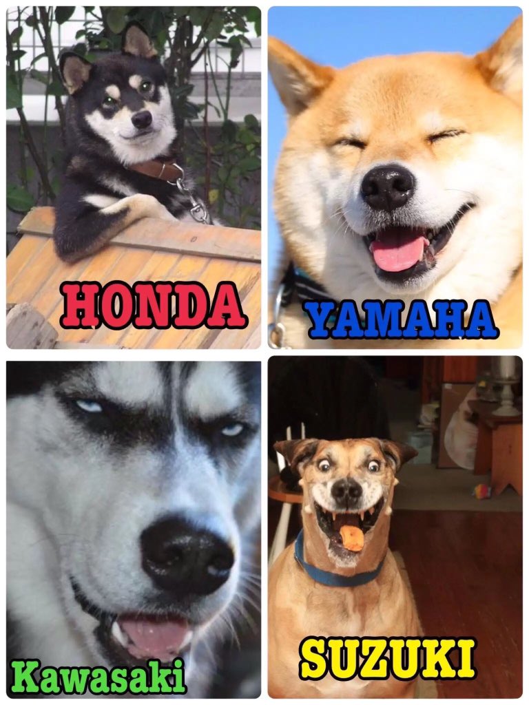 すごい画像みつけた笑 