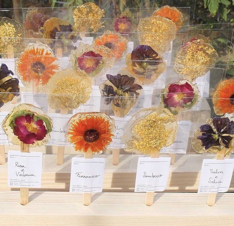 お湯に溶かすとハーブティーになる、なんて素敵 