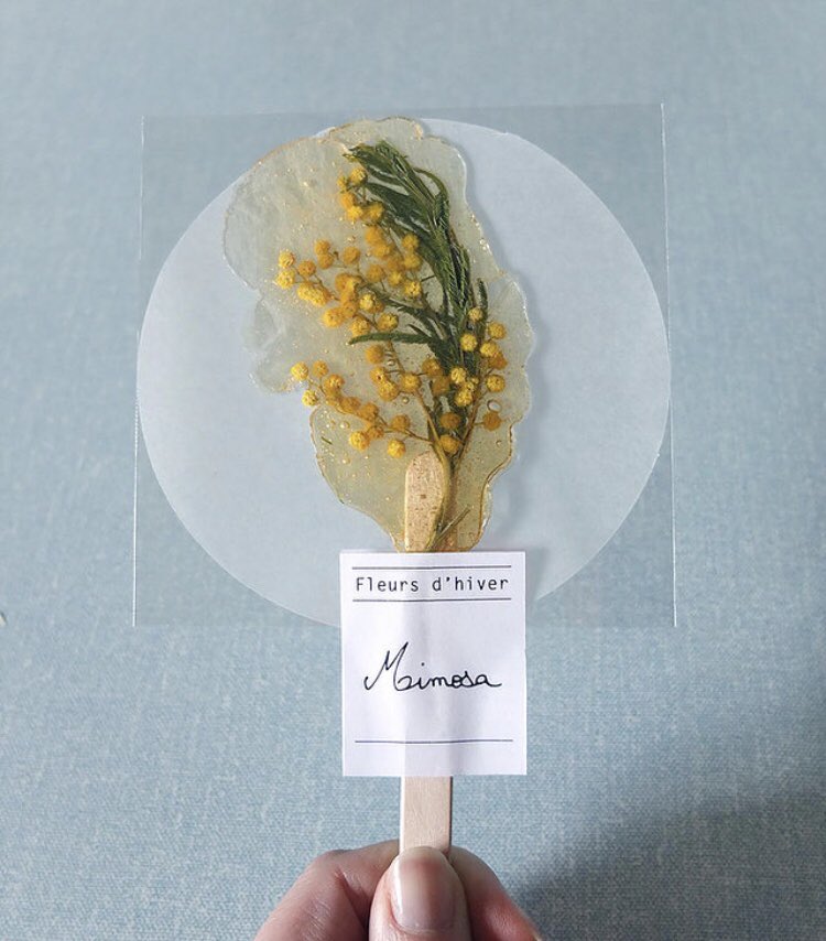 お湯に溶かすとハーブティーになる、なんて素敵 