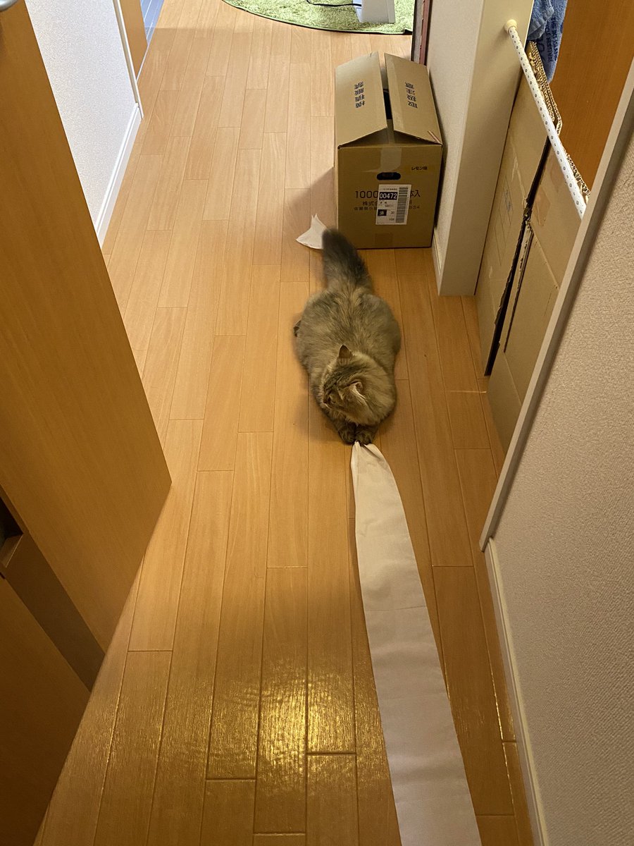 ねぇ　ちょっと… 