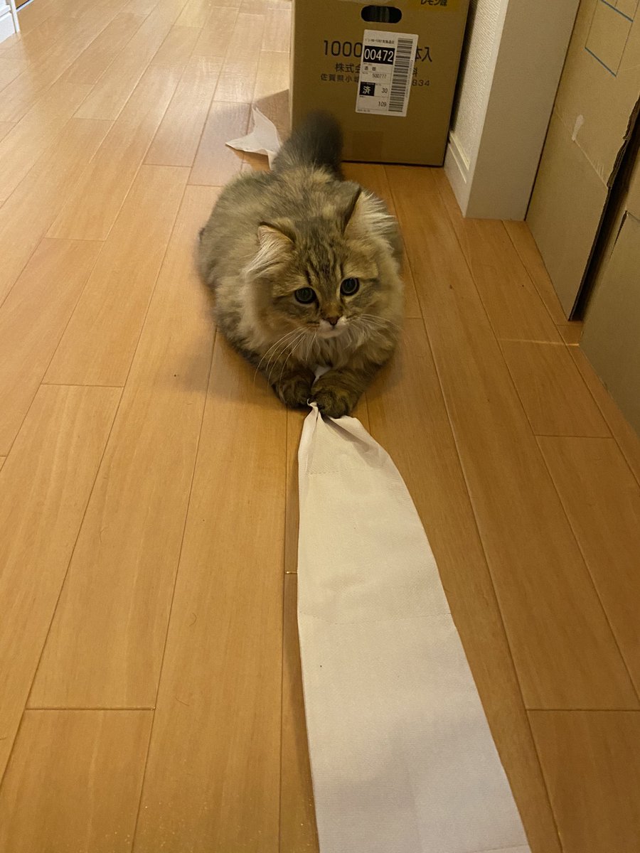 ねぇ　ちょっと… 