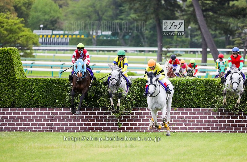 競馬に興味がない人も今日の中山グランドジャンプ(15時40分)は見てほしいな