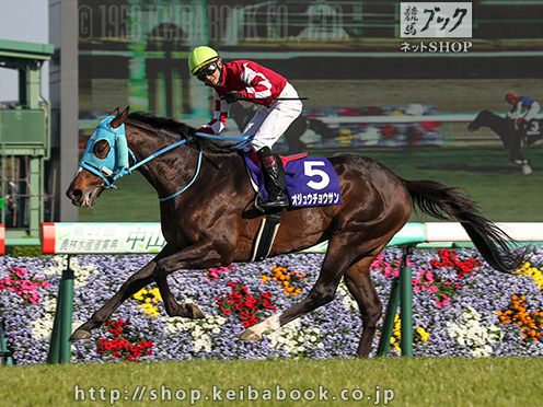 競馬に興味がない人も今日の中山グランドジャンプ(15時40分)は見てほしいな