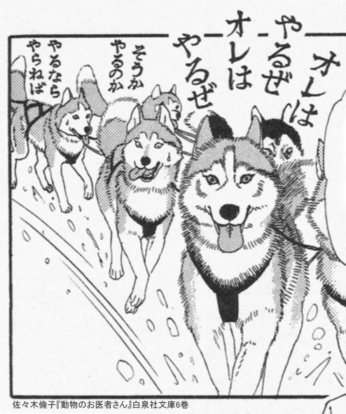 なんか生き物とか死んじゃいそうで見たくないという、未読の方のために言いますと 動物のお医者さんはだいたいこんな感じなので安心してください 