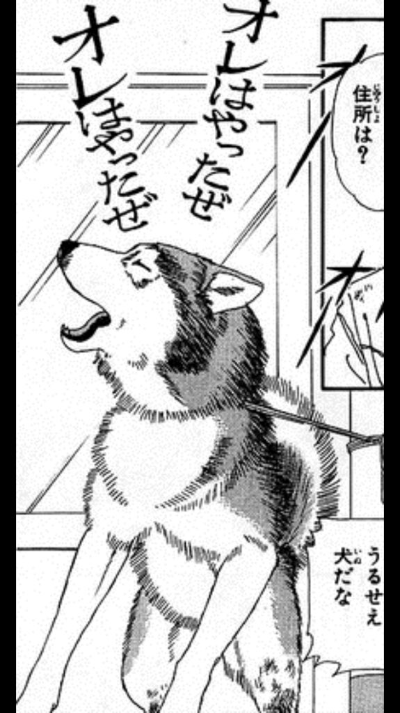 なんか生き物とか死んじゃいそうで見たくないという、未読の方のために言いますと 動物のお医者さんはだいたいこんな感じなので安心してください 