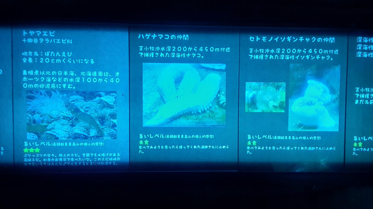 室蘭水族館、小さな市営ながら飼育員に一人だけ「とりあえず食って味を確かめようとする」とか「クラゲに触って毒を確かめる」を基本ムーブにしてるパワータイプの人がいて笑顔なれるよ 