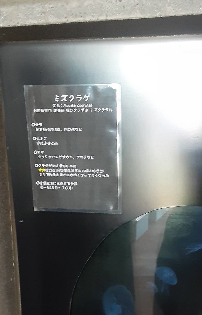 室蘭水族館、小さな市営ながら飼育員に一人だけ「とりあえず食って味を確かめようとする」とか「クラゲに触って毒を確かめる」を基本ムーブにしてるパワータイプの人がいて笑顔なれるよ 
