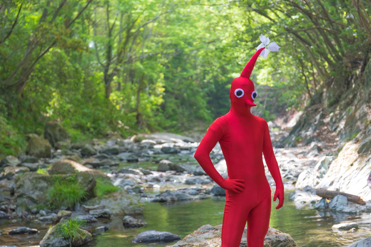 「我名は赤ピクミン、汝に全力で尽くす所存」  model:マチェッティさん #リアルピクミン #このはフォトグラフ 