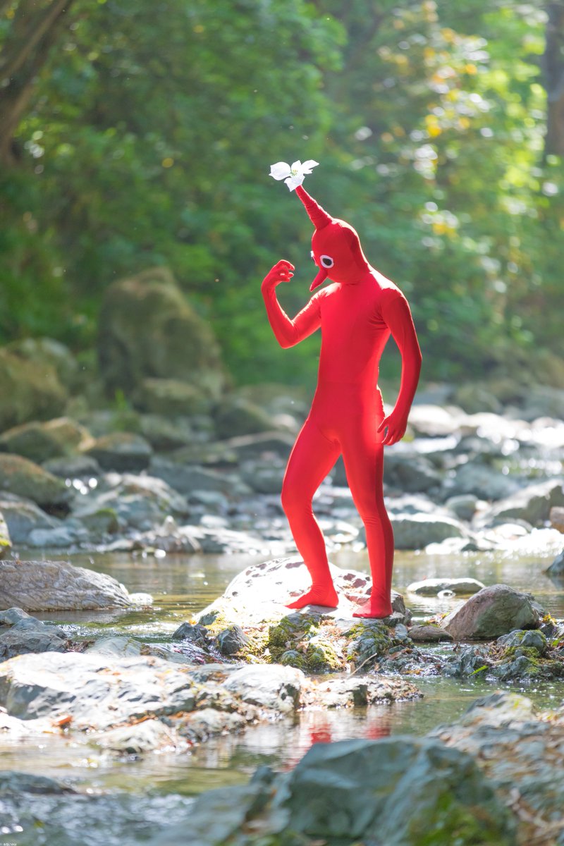 「我名は赤ピクミン、汝に全力で尽くす所存」  model:マチェッティさん #リアルピクミン #このはフォトグラフ 