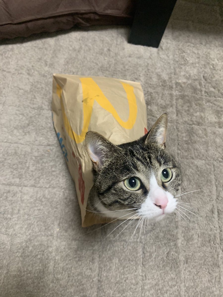 マクドナルドから春の新メニュー 