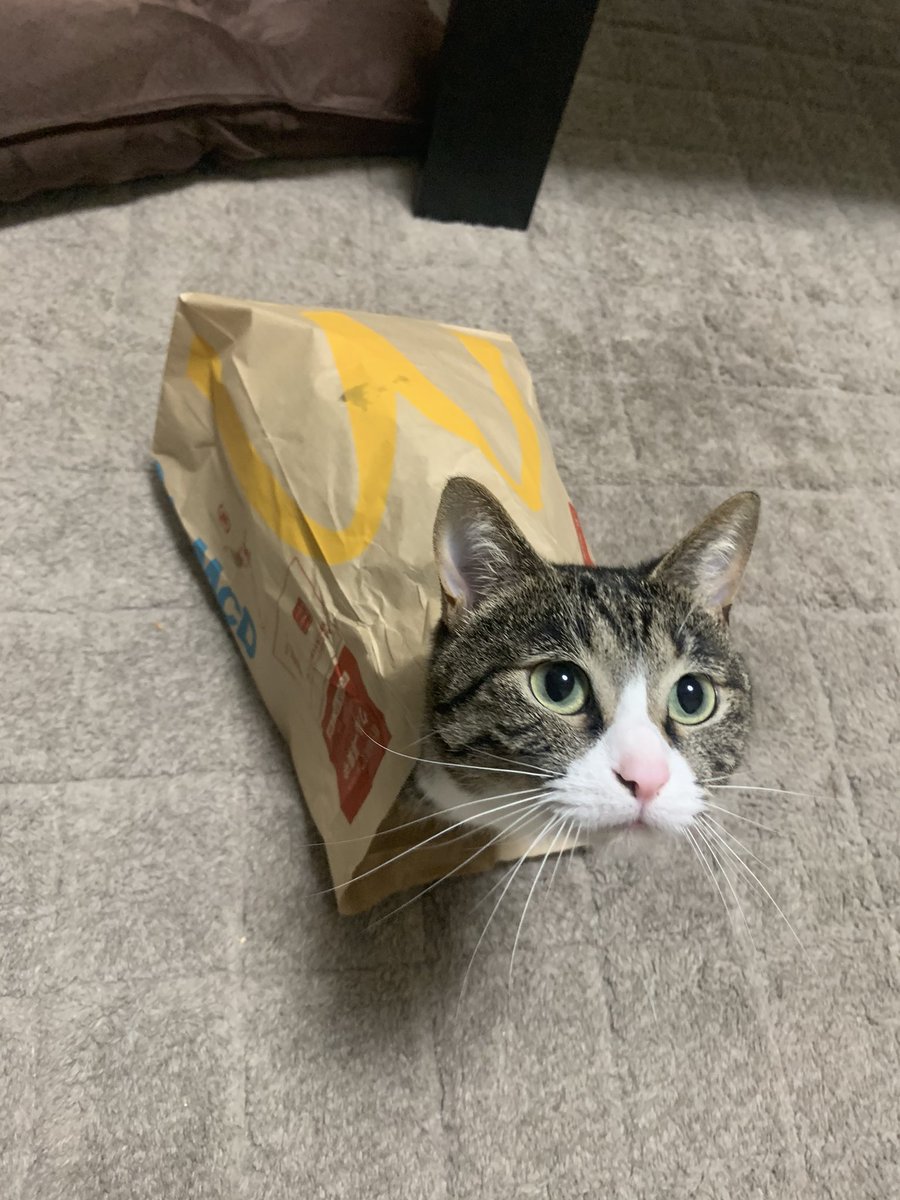 マクドナルドから春の新メニュー 