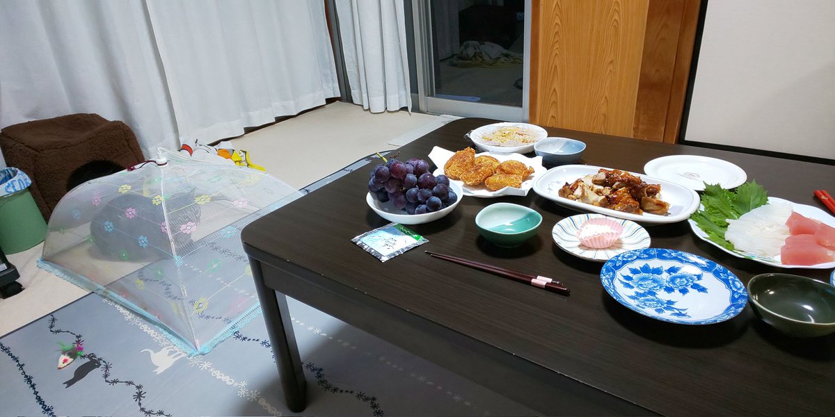 我が家の｢猫から刺身を守る方法｣(笑) 