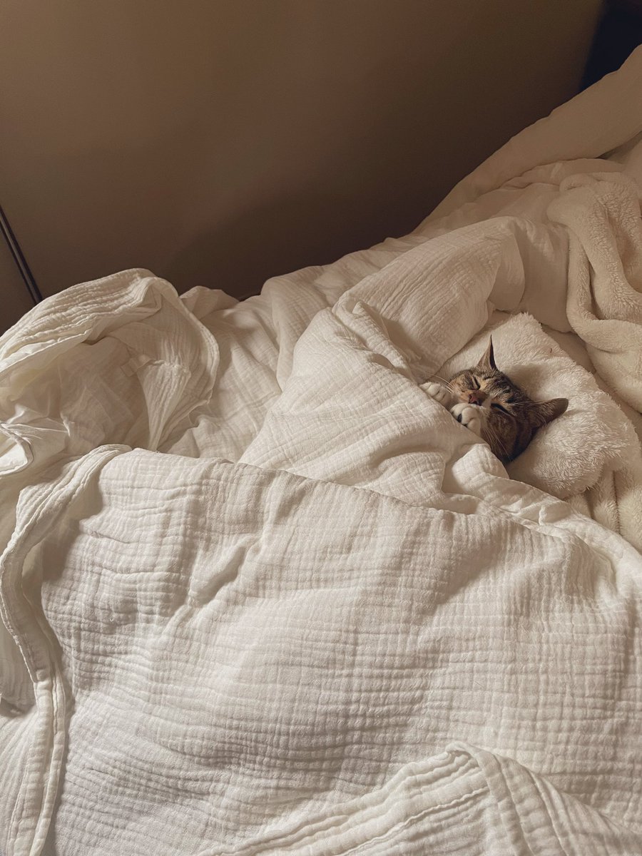 わたし「残念ながら天使としか言いようがない」 