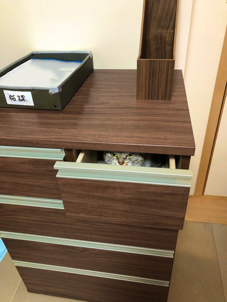 「人見知りなドラえもんっぽいの来てる」