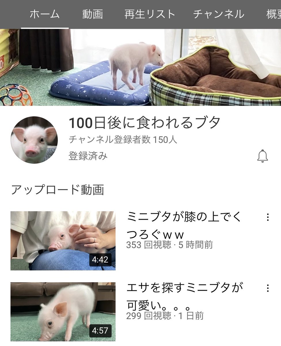 これマジで食ったら伝説のチャンネルになりそう 