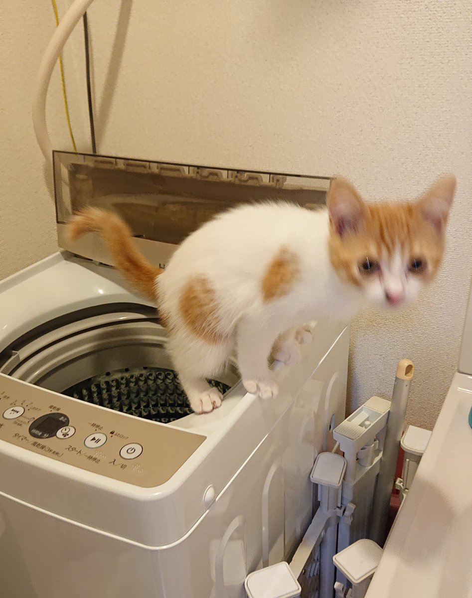 おぬしまさかそこで！！？ 