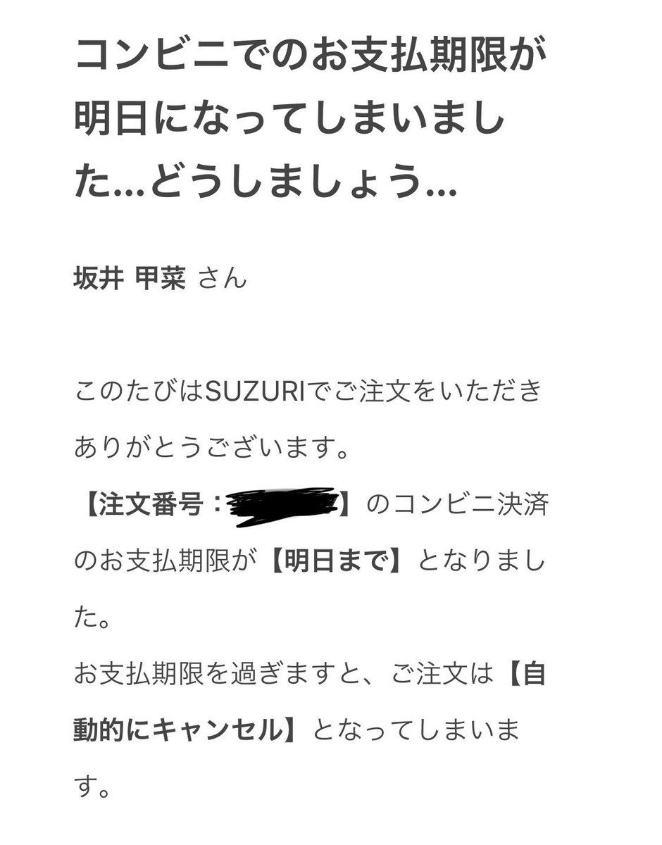 ショッピングサイトのSUZURIで買い物した後支払いまだしてなかったんだけど、史上最高に支払いしなきゃ