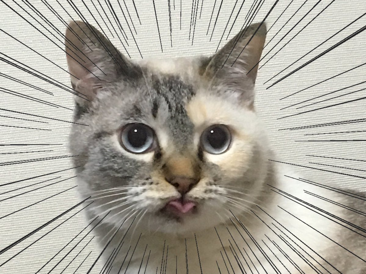 #全日本舌しまい忘れ協会 素敵な協会名を目にしたので今こそこれを出すべきだと思いました