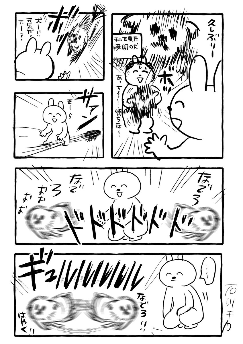 久しぶりに会った実家の犬 