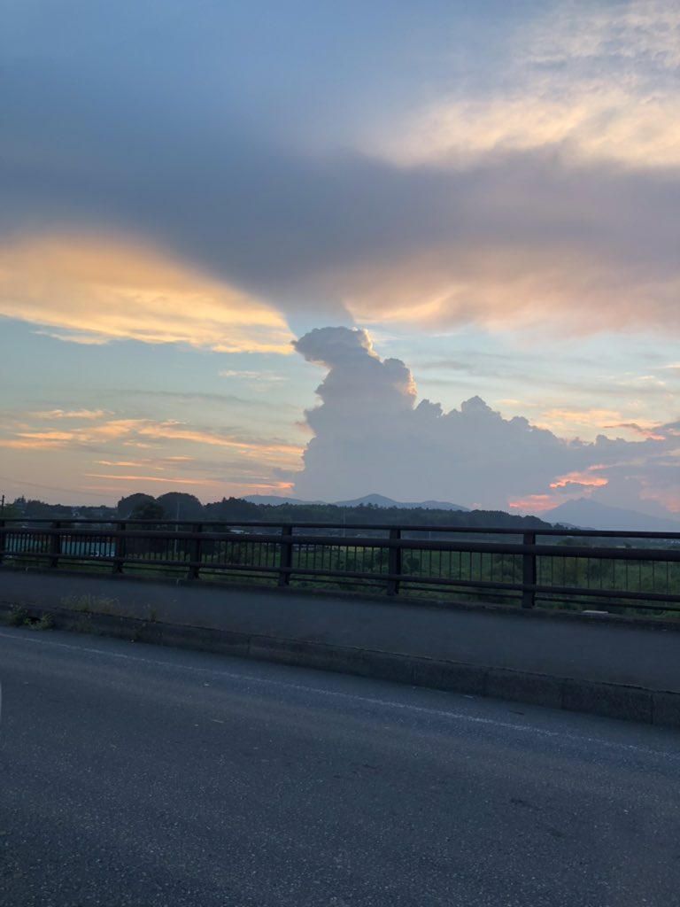 ガチでゴジラが居るのかと思った 