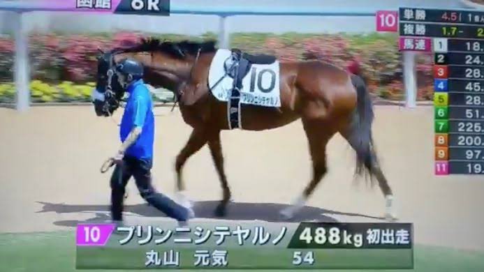 実装が待たれる期待のウマ娘 