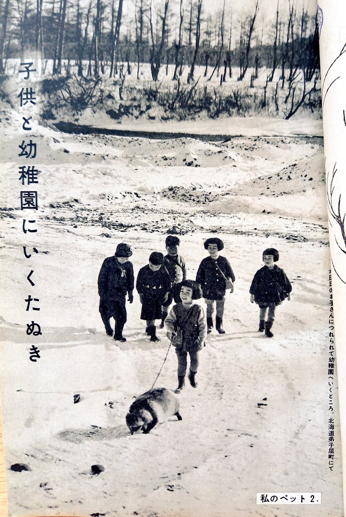 子供と幼稚園にいくたぬき！！子供と幼稚園にいくたぬき！！！！！ 