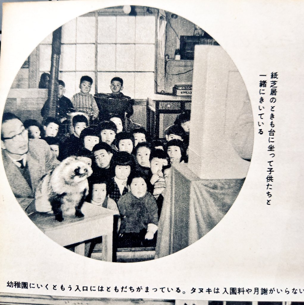 子供と幼稚園にいくたぬき！！子供と幼稚園にいくたぬき！！！！！ 