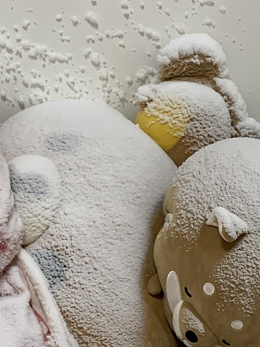 気づいたらリラックマ凍ってた 