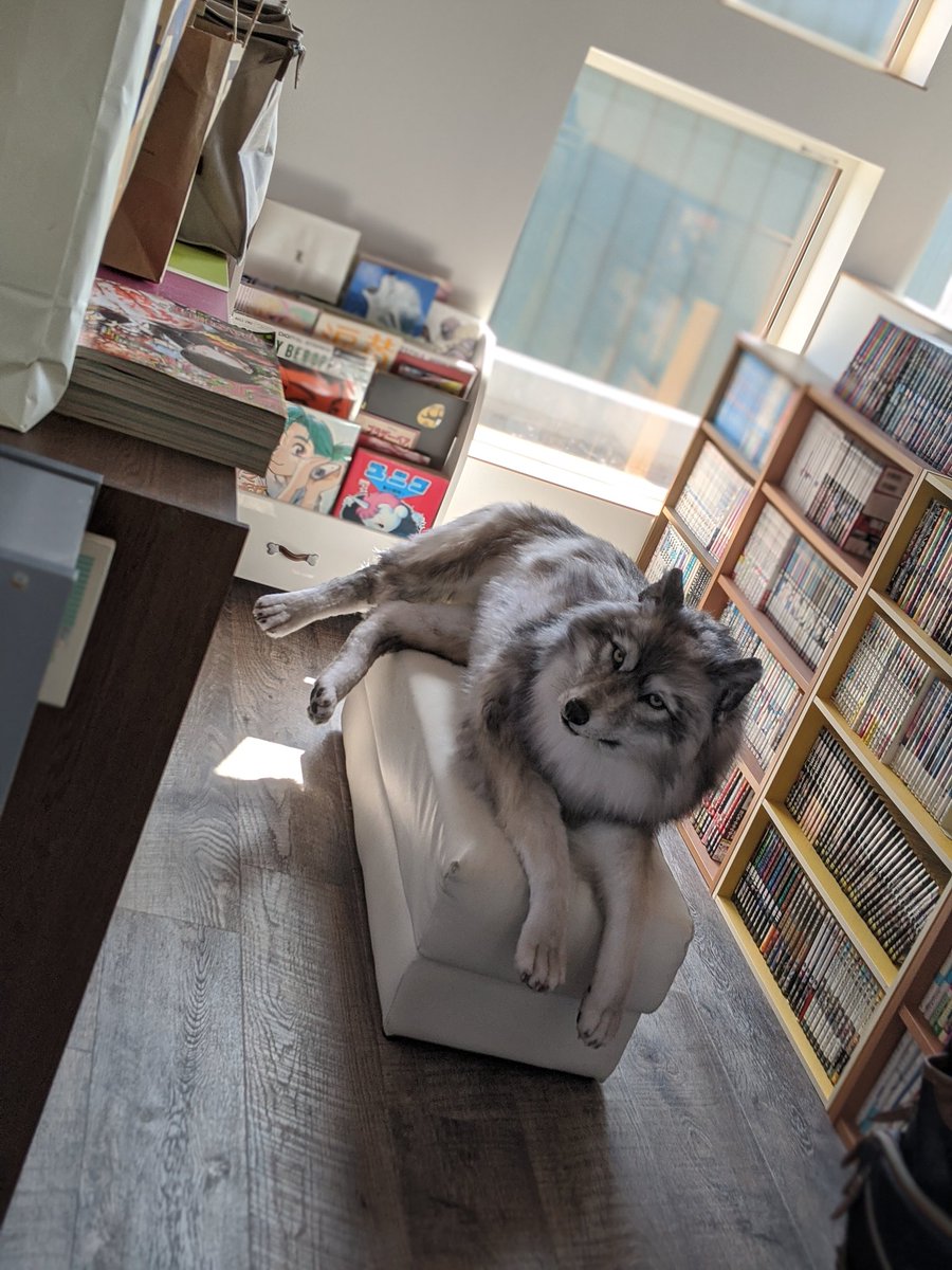 漫画部屋でくつろいでいらっしゃる… 