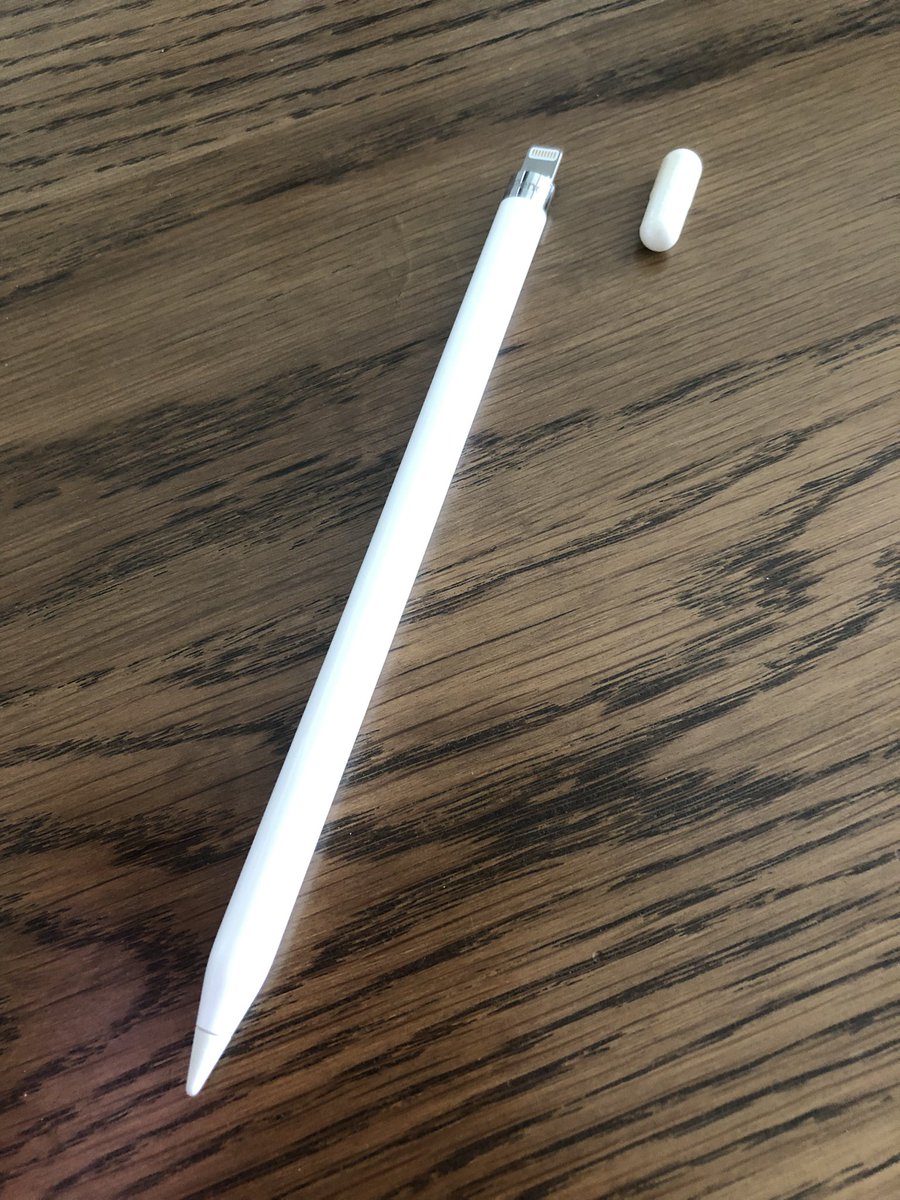 Apple Pencilの充電が終わってキャップを探したがどこを探しても見つからない…そして飲んだはずのこのサプリが残ってる…と い う 事 は…